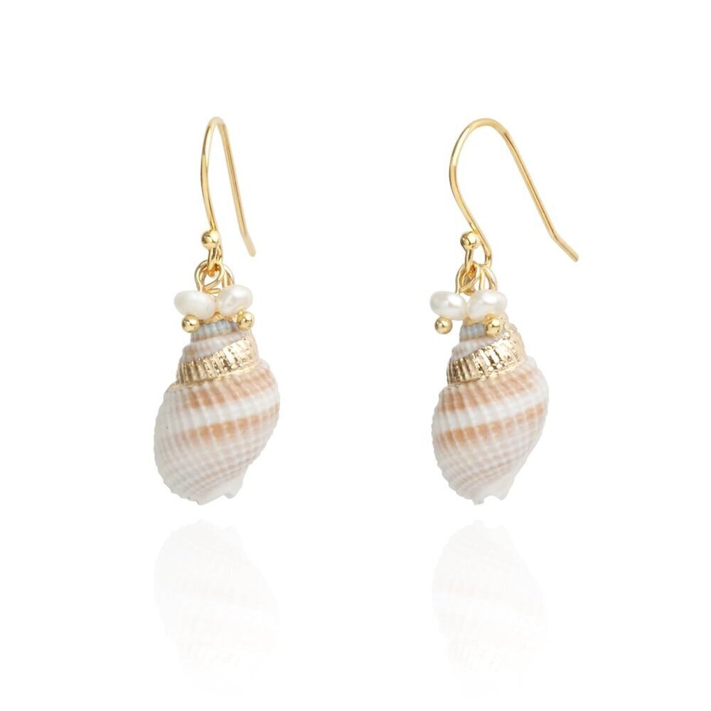 14K Gold Boho Seashell Beach Earrings with Sterling Silver Hooks, Unique Natural